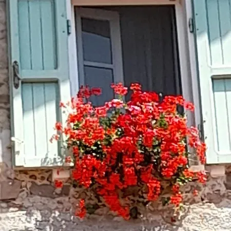 Gli Ulivi Fosdinovo