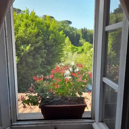 Gli Ulivi Oda ve Kahvaltı *