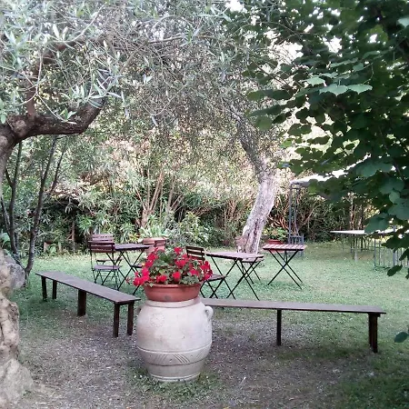 Oda ve Kahvaltı Gli Ulivi *